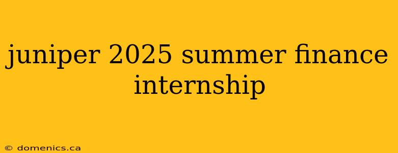 juniper 2025 summer finance internship