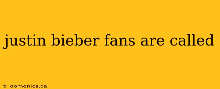 justin bieber fans are called