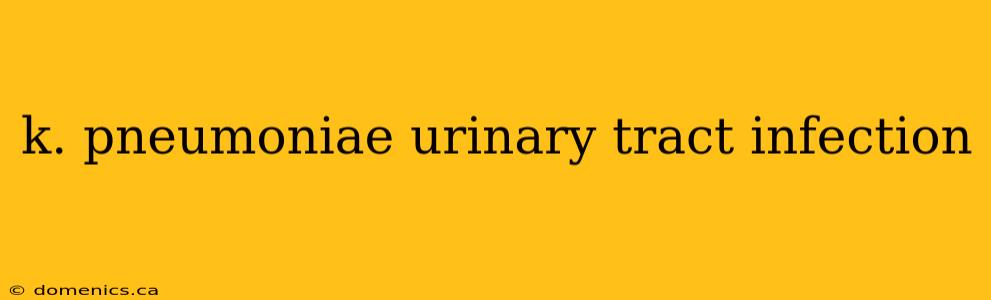 k. pneumoniae urinary tract infection