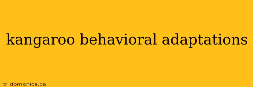 kangaroo behavioral adaptations