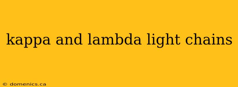 kappa and lambda light chains