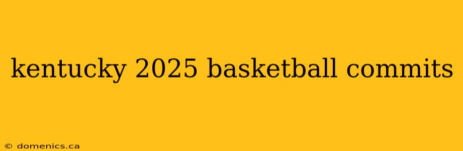 kentucky 2025 basketball commits
