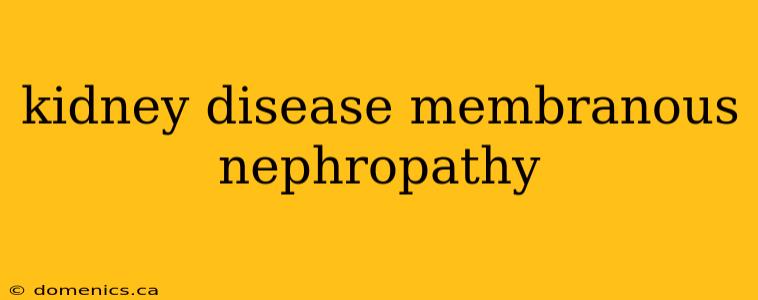 kidney disease membranous nephropathy