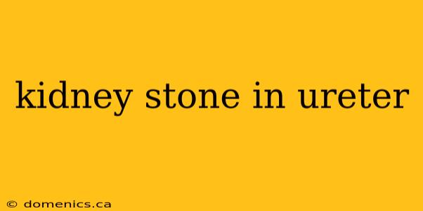 kidney stone in ureter