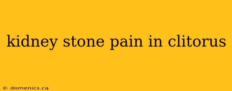 kidney stone pain in clitorus