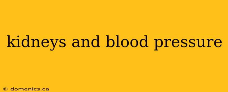 kidneys and blood pressure