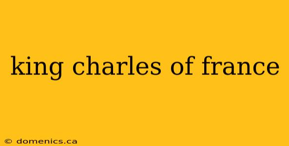 king charles of france