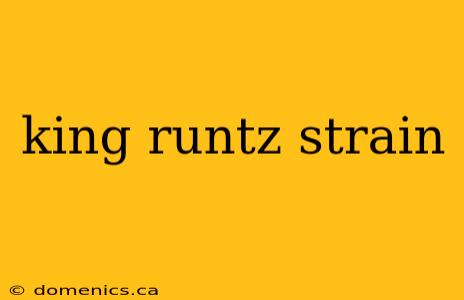 king runtz strain