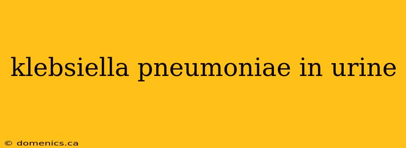 klebsiella pneumoniae in urine