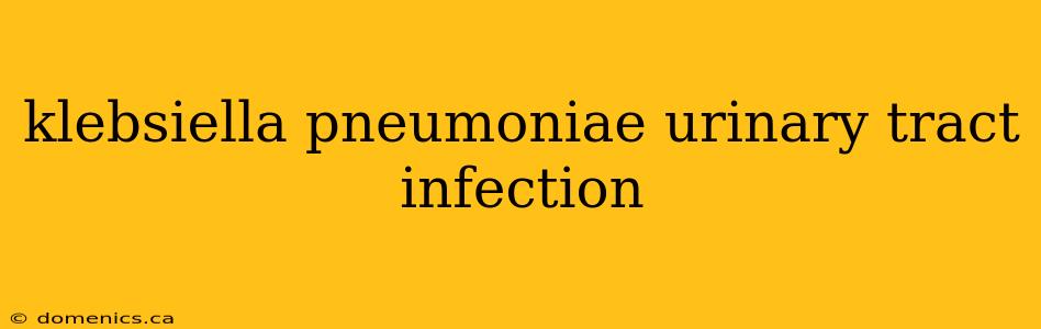 klebsiella pneumoniae urinary tract infection