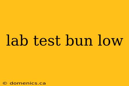 lab test bun low