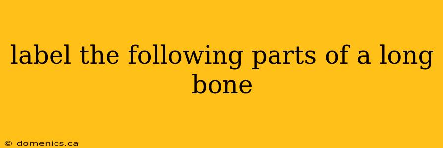 label the following parts of a long bone