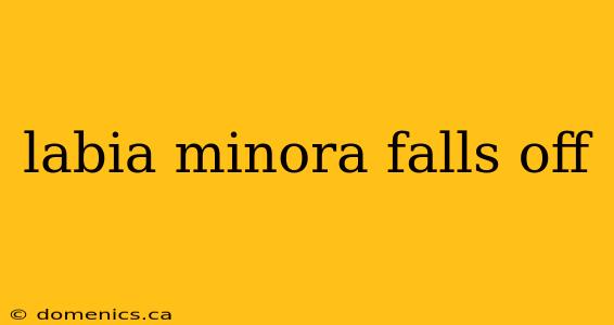 labia minora falls off