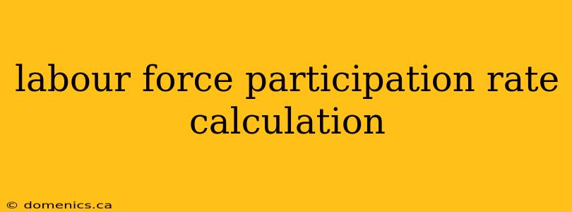 labour force participation rate calculation