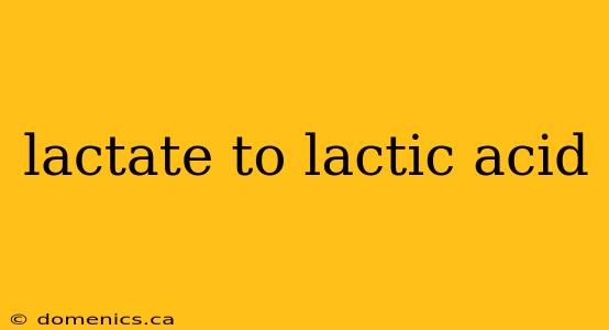 lactate to lactic acid