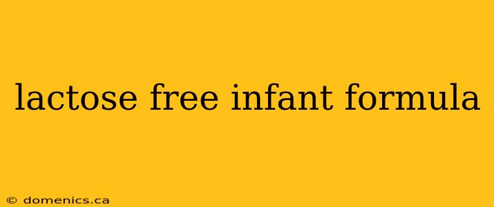 lactose free infant formula