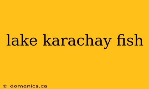 lake karachay fish