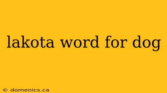 lakota word for dog