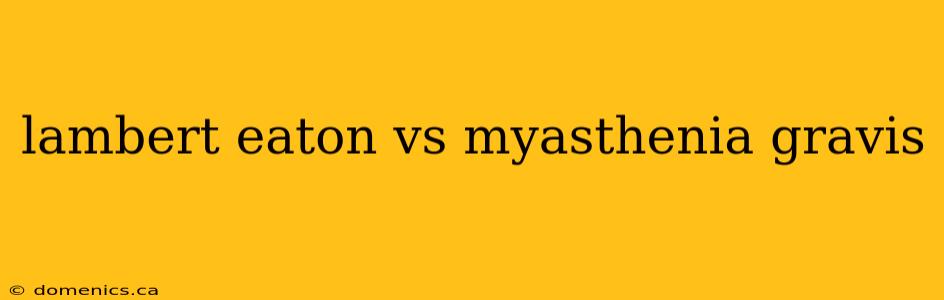 lambert eaton vs myasthenia gravis