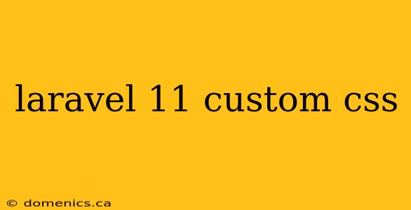 laravel 11 custom css