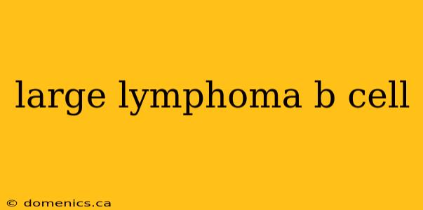 large lymphoma b cell