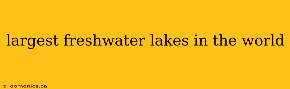 largest freshwater lakes in the world