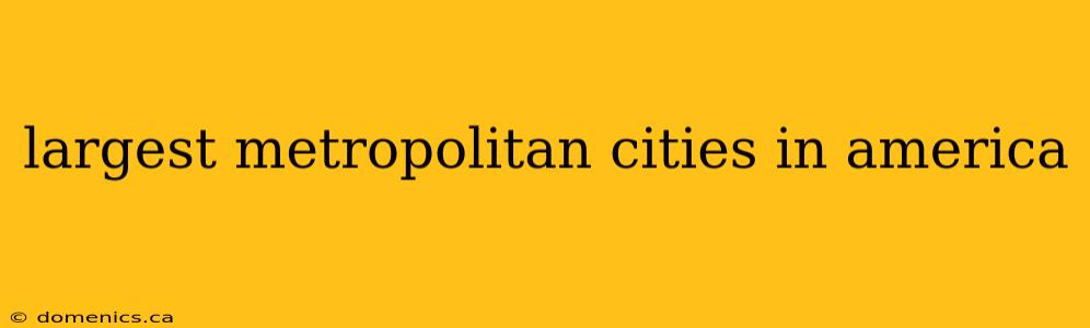 largest metropolitan cities in america