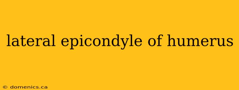 lateral epicondyle of humerus