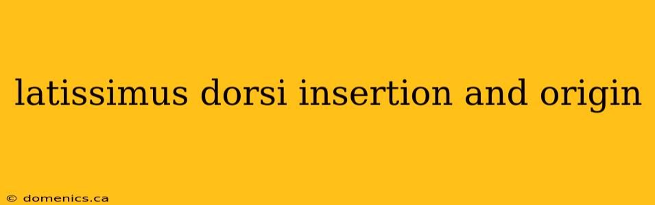 latissimus dorsi insertion and origin