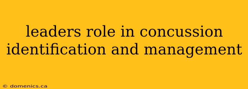 leaders role in concussion identification and management