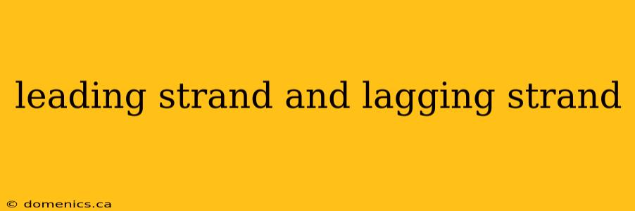 leading strand and lagging strand