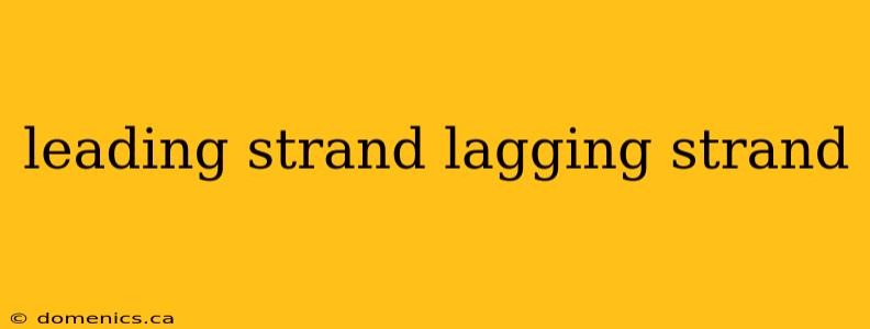 leading strand lagging strand