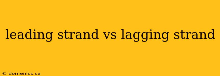 leading strand vs lagging strand