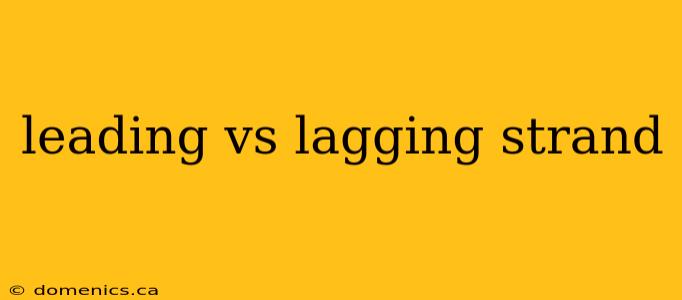 leading vs lagging strand