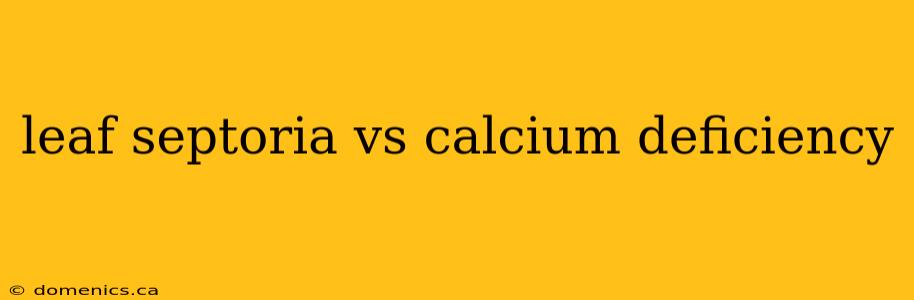 leaf septoria vs calcium deficiency