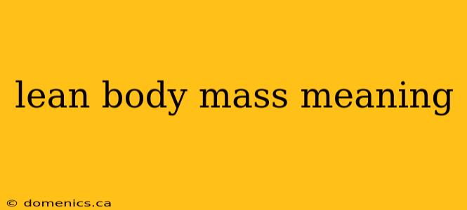 lean body mass meaning