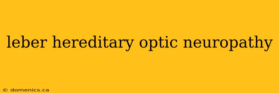 leber hereditary optic neuropathy