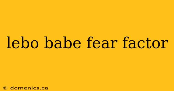 lebo babe fear factor