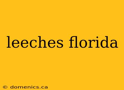 leeches florida