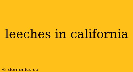 leeches in california