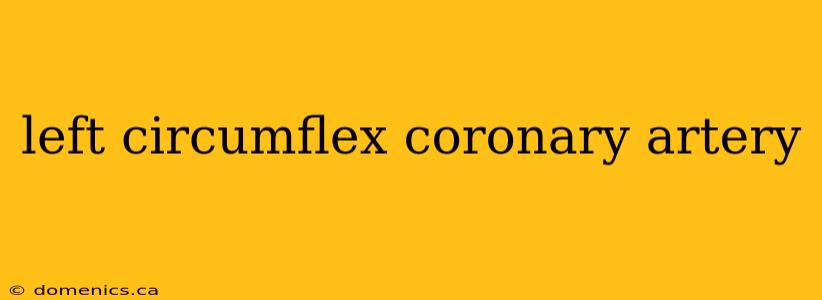 left circumflex coronary artery