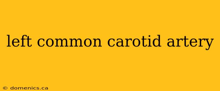 left common carotid artery