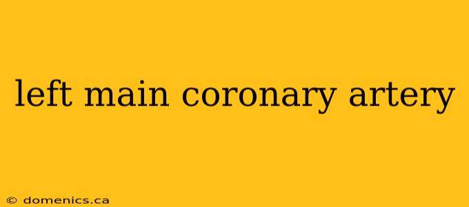 left main coronary artery