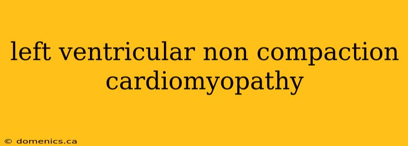 left ventricular non compaction cardiomyopathy