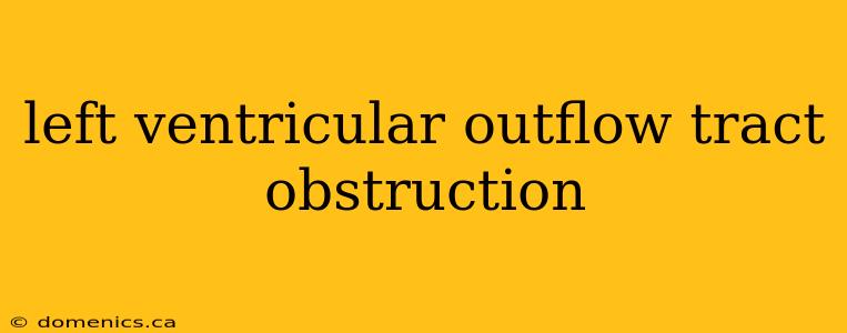 left ventricular outflow tract obstruction