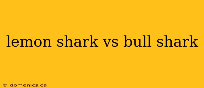 lemon shark vs bull shark