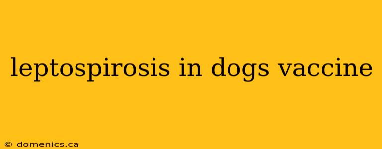 leptospirosis in dogs vaccine