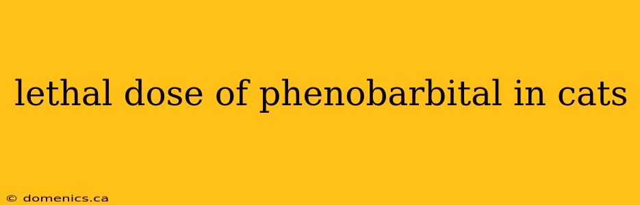 lethal dose of phenobarbital in cats