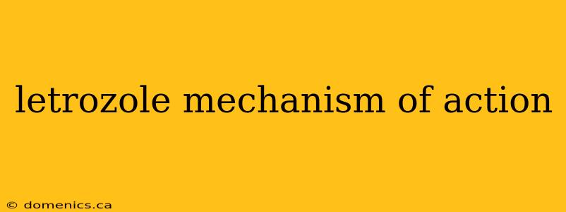 letrozole mechanism of action