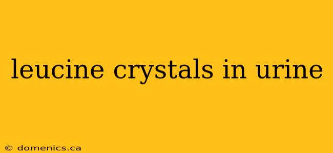 leucine crystals in urine